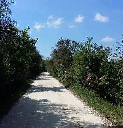 Poggio Alla Scaglia Holiday home